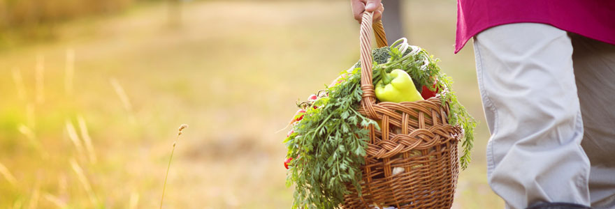 Panier bio des alpilles